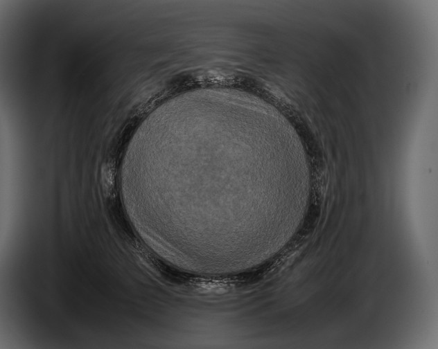 X0000087010709200705071526