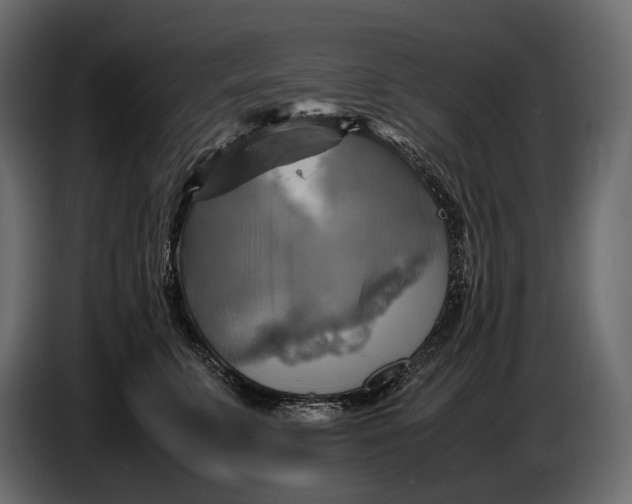 X0000087010711200705071526