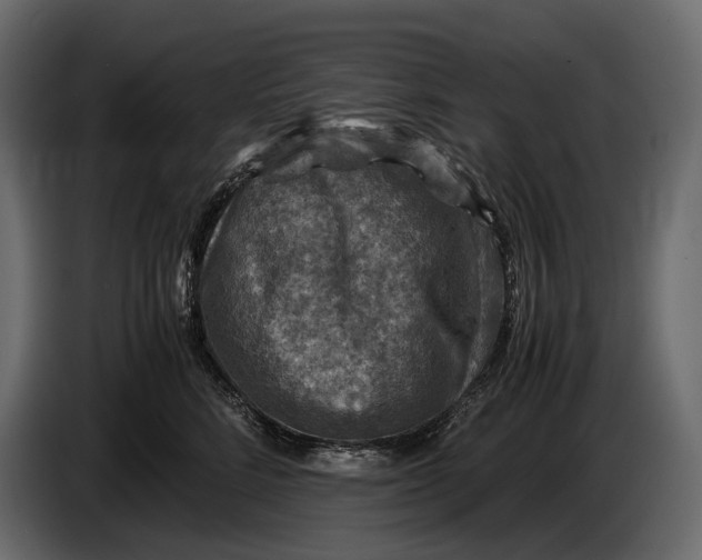 X0000087010712200705071526