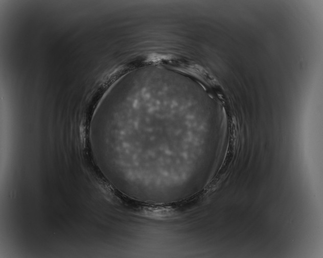 X0000087010716200705071526