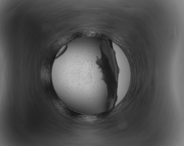 X0000087010719200705071526