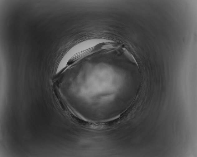 X0000087010720200705071526