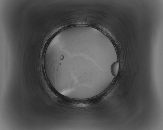 X0000087010721200705071525