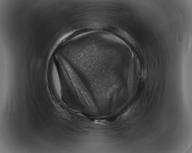 X0000087010724200705071525