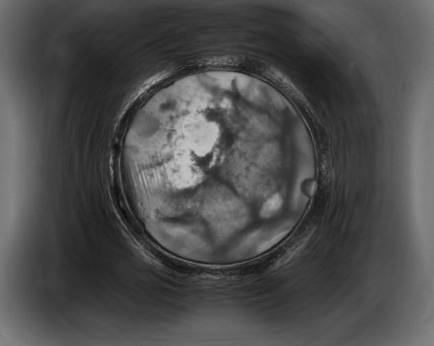 X0000087010725200705071525