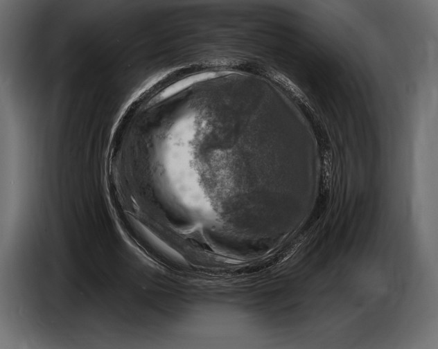 X0000087010726200705071525