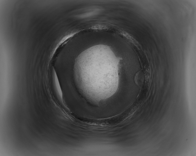 X0000087010727200705071525