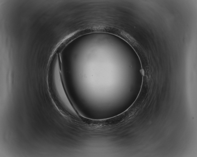 X0000087010728200705071525