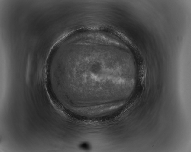 X0000087010730200705071525