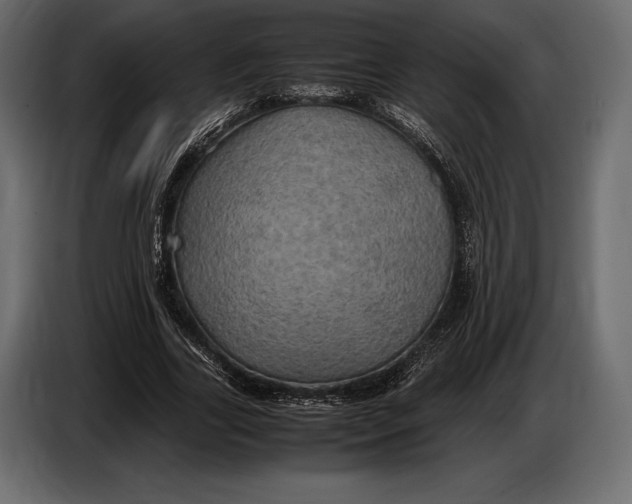 X0000087010731200705071525