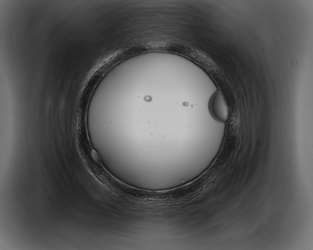 X0000087010732200705071525