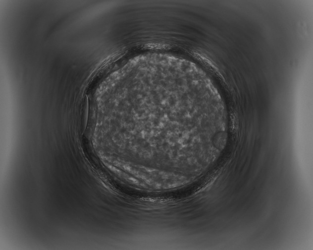 X0000087010733200705071525