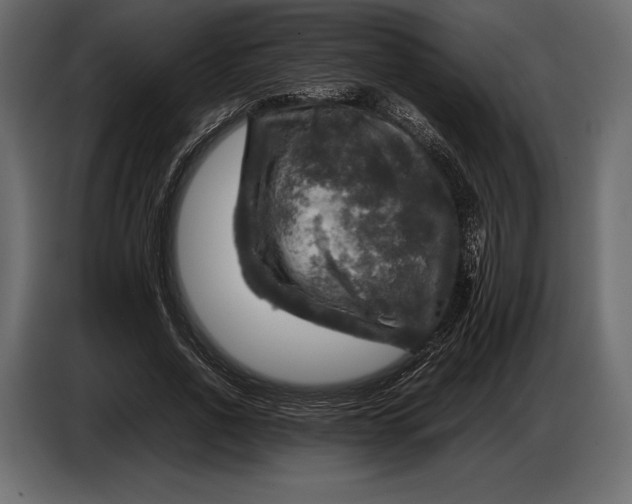 X0000087010734200705071525