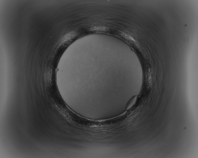 X0000087010735200705071525