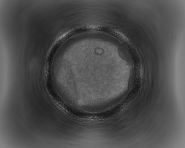 X0000087010736200705071525