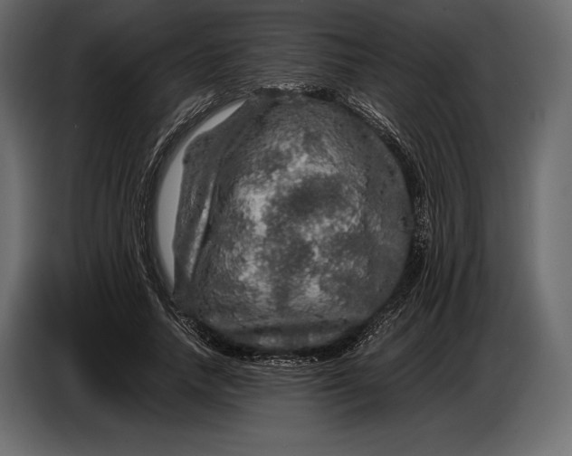 X0000087010738200705071525