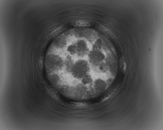 X0000087010741200705071525