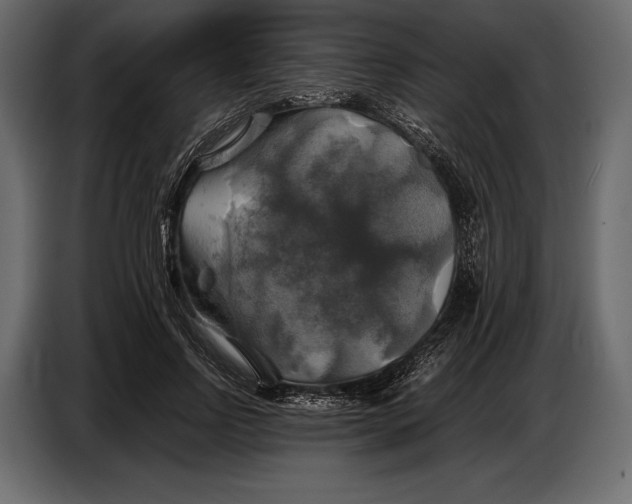 X0000087010742200705071525