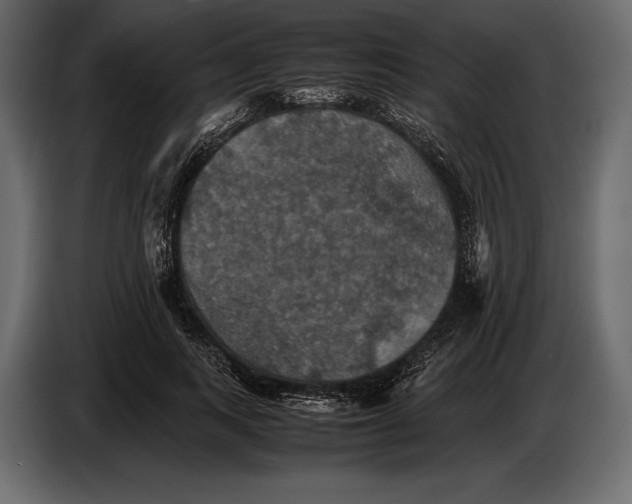 X0000087010743200705071525