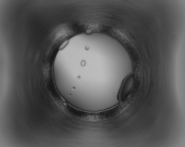 X0000087010744200705071525