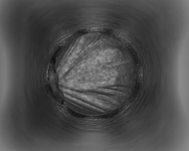 X0000087010746200705071525