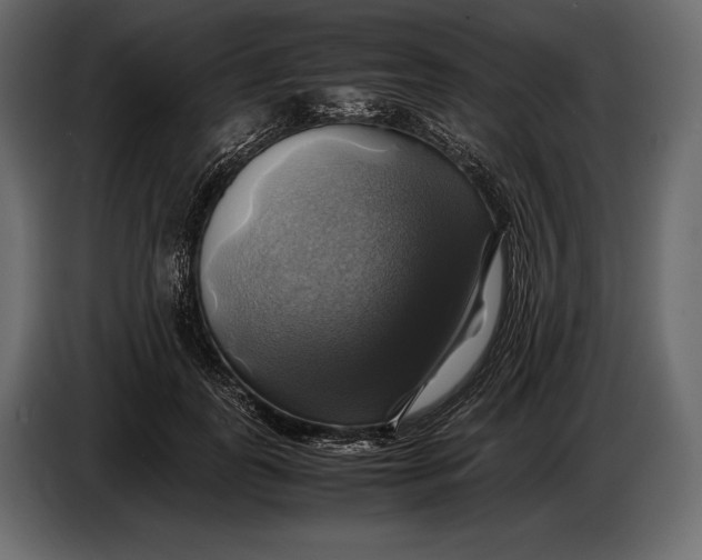 X0000087010747200705071525