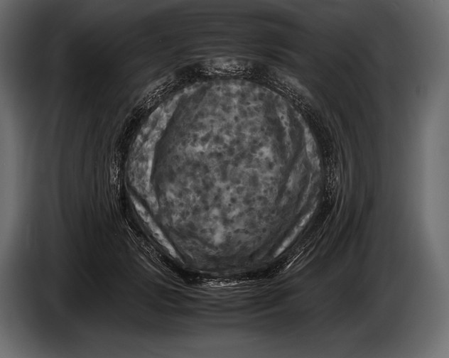 X0000087010749200705071525