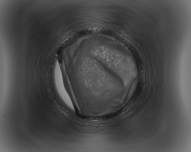 X0000087010750200705071525