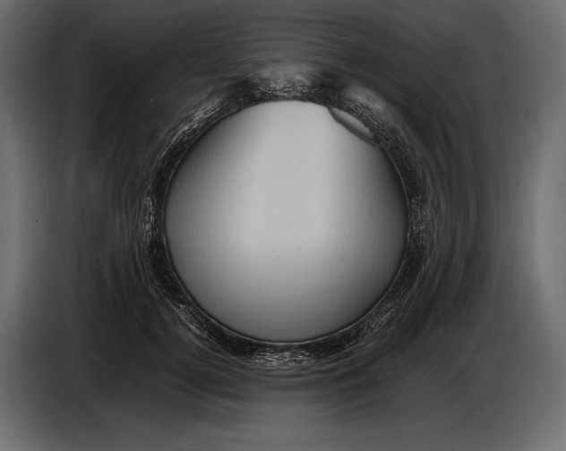 X0000087010752200705071525