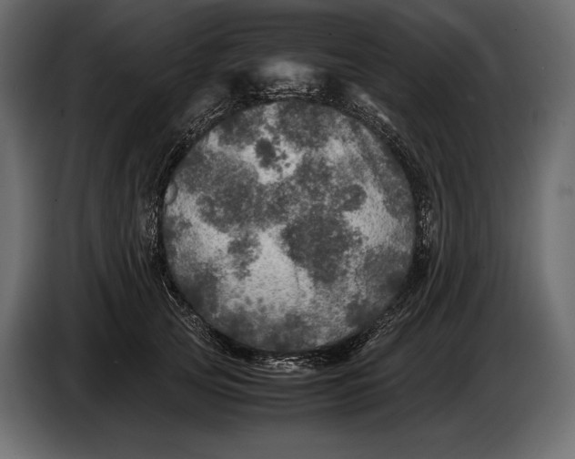 X0000087010753200705071525