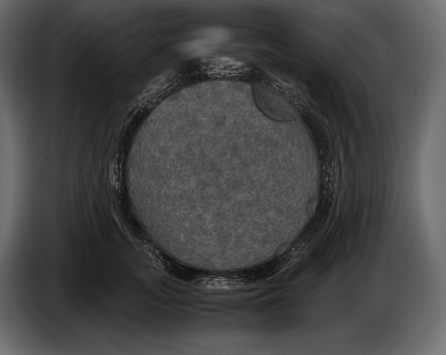 X0000087010755200705071526