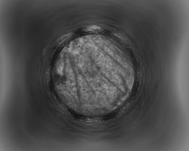 X0000087010757200705071526