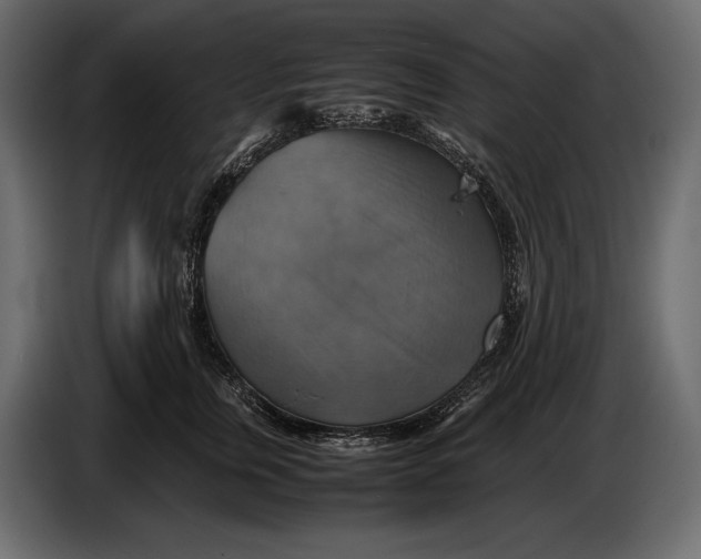 X0000087010759200705071526