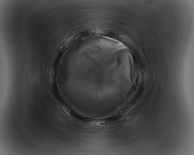 X0000087010760200705071526