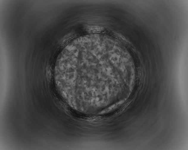 X0000087010761200705071526