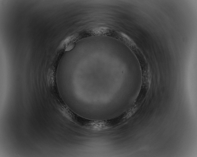 X0000087010762200705071526