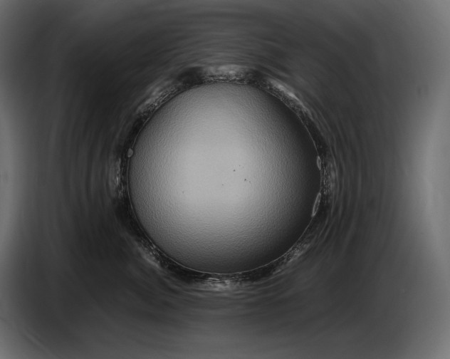 X0000087010764200705071526