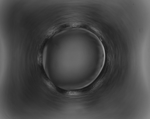 X0000087010766200705071526