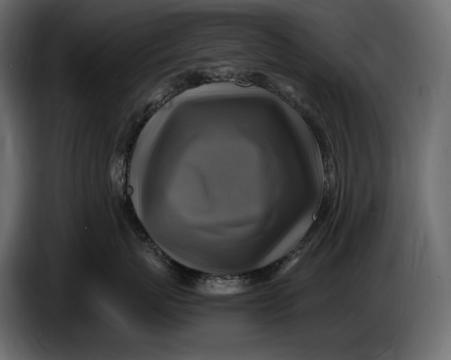 X0000087010767200705071526