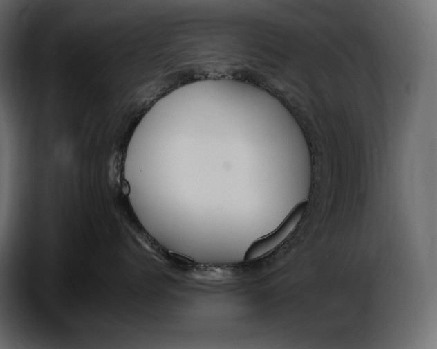 X0000087010768200705071526