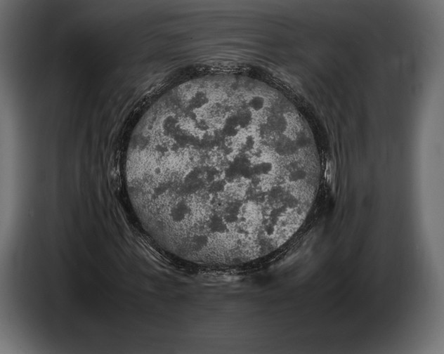 X0000087010771200705071525