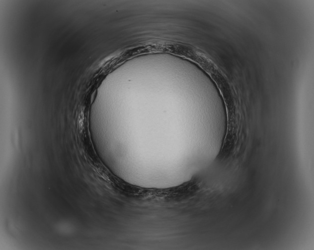 X0000087010773200705071525