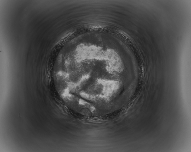 X0000087010774200705071525