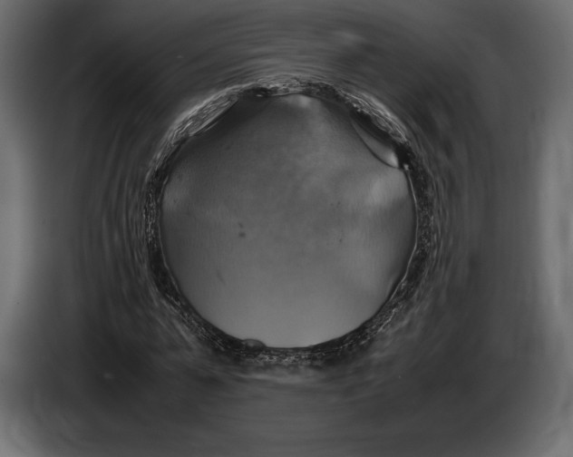 X0000087010775200705071525