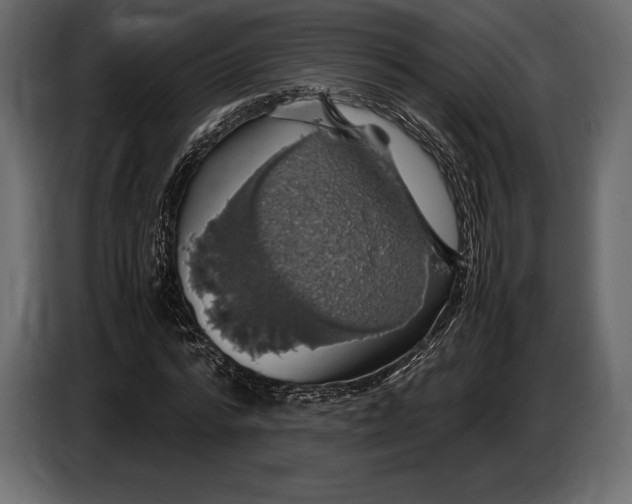 X0000087010776200705071525