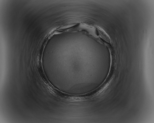 X0000087010777200705071525