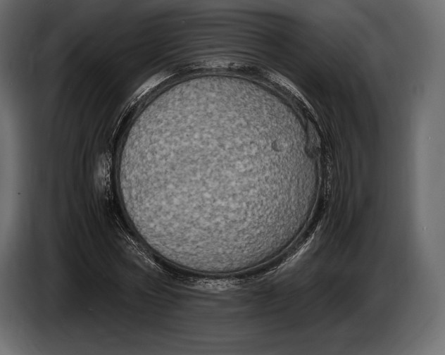 X0000087010778200705071525