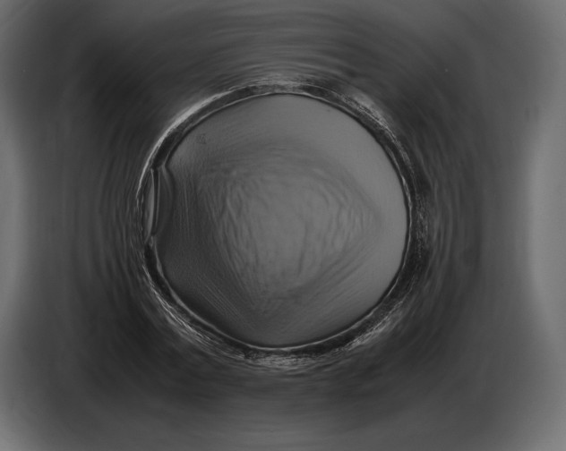 X0000087010779200705071525