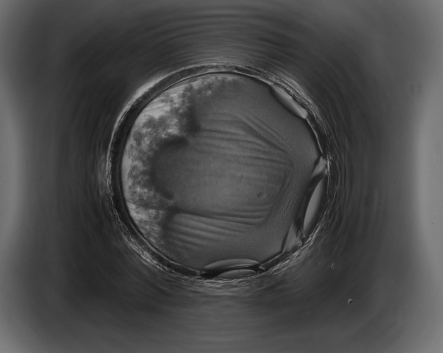 X0000087010780200705071525