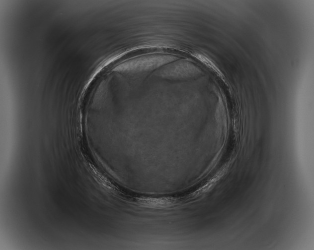 X0000087010781200705071525